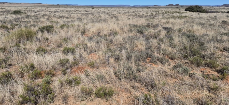 Commercial Property for Sale in Dealesville Free State